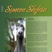 n.24 - Simeon Shifran
